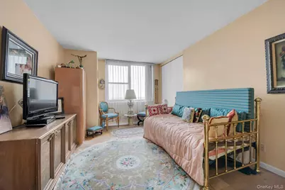 271-10 Grand Central Parkway #29V, Floral Park, NY 11005 - Photo 10