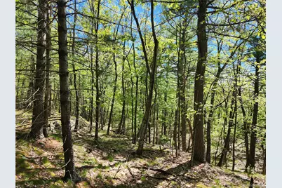 Tbd Upper Samsonville Road, Olivebridge, NY 12461 - Photo 12