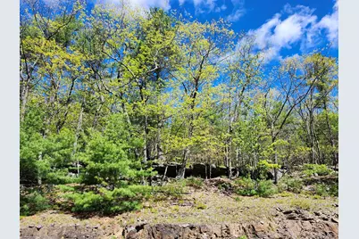 Tbd Upper Samsonville Road, Olivebridge, NY 12461 - Photo 20