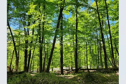 Tbd Upper Samsonville Road, Olivebridge, NY 12461 - Photo 6