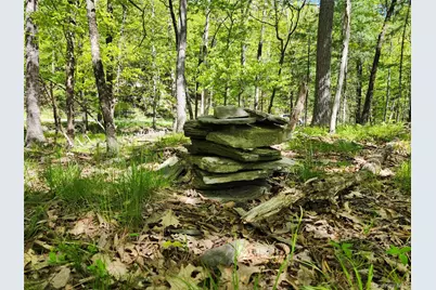 Tbd Upper Samsonville Road, Olivebridge, NY 12461 - Photo 14