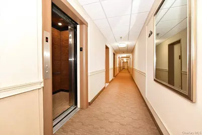 50 Hill Park Avenue #1-L, Great Neck, NY 11021 - Photo 6
