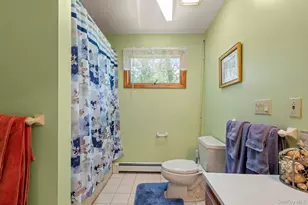 382 S Shore Dr, Rock Hill, NY 12775 - Photo 20