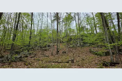 Lot 23.21 State Route 97, Narrowsburg, NY 12764 - Photo 16