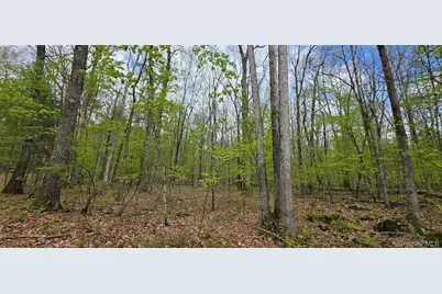 Lot 23.21 State Route 97, Narrowsburg, NY 12764 - Photo 6