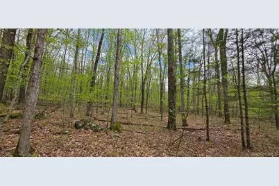 Lot 23.21 State Route 97, Narrowsburg, NY 12764 - Photo 8