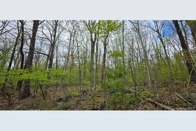 Lot 23.21 State Route 97, Narrowsburg, NY 12764 - Photo 26