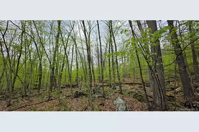 Lot 23.21 State Route 97, Narrowsburg, NY 12764 - Photo 20