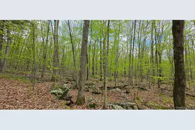 Lot 23.21 State Route 97, Narrowsburg, NY 12764 - Photo 10