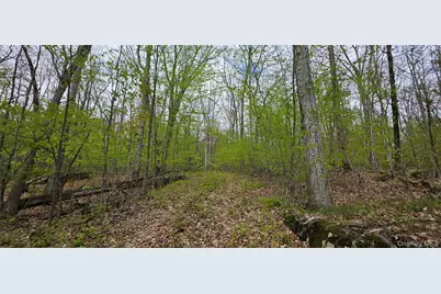 Lot 23.21 State Route 97, Narrowsburg, NY 12764 - Photo 4