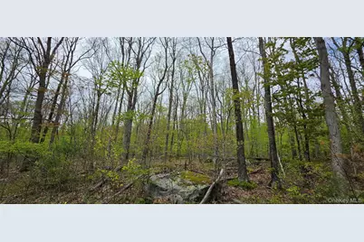 Lot 23.21 State Route 97, Narrowsburg, NY 12764 - Photo 24