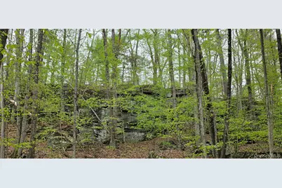 Lot 23.21 State Route 97, Narrowsburg, NY 12764 - Photo 14