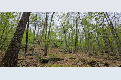 Lot 23.21 State Route 97, Narrowsburg, NY 12764 - Photo 12
