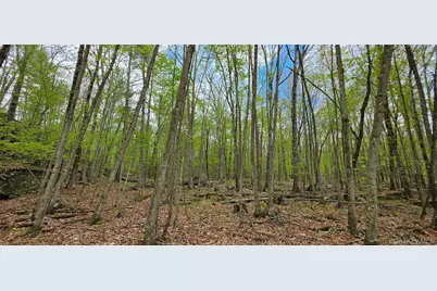 Lot 23.21 State Route 97, Narrowsburg, NY 12764 - Photo 18