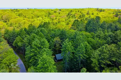 301 Pucky Huddle Road, Bethel, NY 12720 - Photo 38