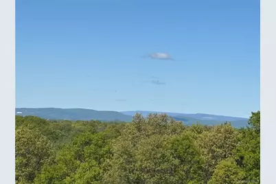 115 N Smith Road, Lagrangeville, NY 12540 - Photo 40