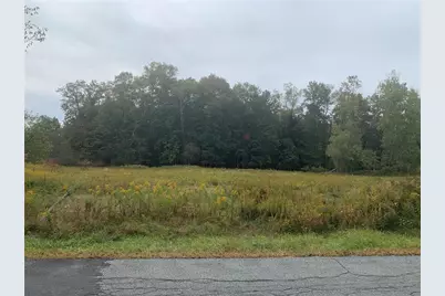 Krum Road Tr 77, Fallsburg, NY 12733 - Photo 1