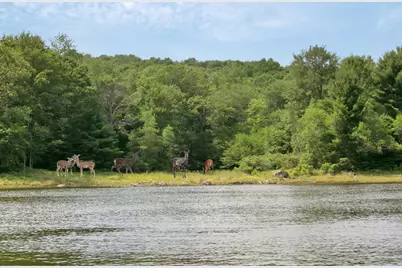 Whispering Woods Drive, Mongaup Valley, NY 12762 - Photo 16