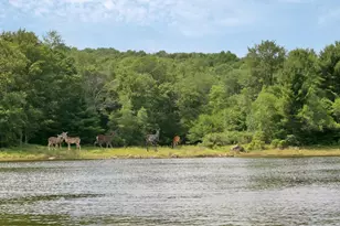 Whispering Woods Dr, Mongaup Valley, NY 12762 - Photo 16