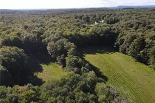 114 Levine Rd, Monticello, NY 12701 - Photo 16