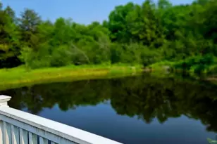 141 Bonnie Brook Rd, Roscoe, NY 12776 - Photo 46