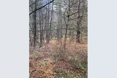 140 Plank Road, Mongaup Valley, NY 12762 - Photo 10