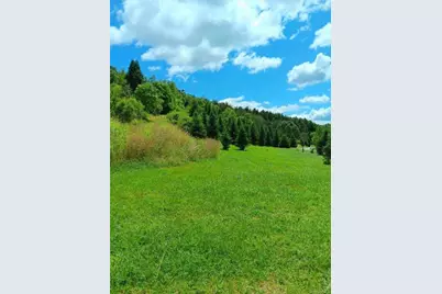 495 Swiss Hill Road N, Jeffersonville, NY 12748 - Photo 28