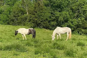 356 Co Rte 6, Germantown, NY 12526 - Photo 34