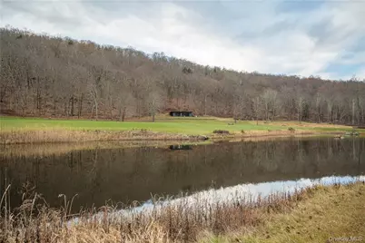165 Duell Hollow Road, Wingdale, NY 12594 - Photo 28