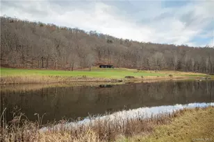 165 Duell Hollow Rd, Wingdale, NY 12594 - Photo 28