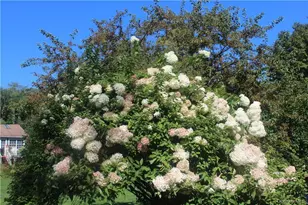 17 Gold Dan, Swan Lake, NY 12783 - Photo 30