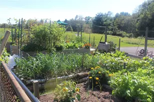 17 Gold Dan, Swan Lake, NY 12783 - Photo 32