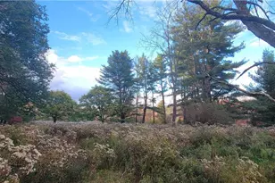 1195 Nys Route 17B, Mongaup Valley, NY 12762 - Photo 12