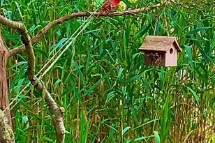 30 Gale Walk, Seaview, NY 11770 - Photo 12