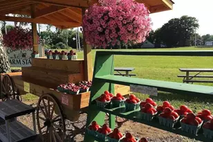 1100 Pine Ave, Southold, NY 11971 - Photo 18