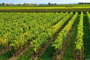 400 Hill Rd, Southold, NY 11971 - Photo 22