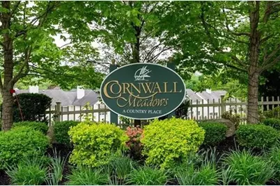 217 Cornwall Meadows Lane, Patterson, NY 12563 - Photo 1