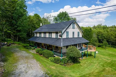 306 Cutler Road, Swan Lake, NY 12783 - Photo 1