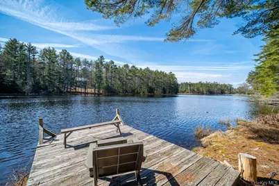 62 Stag Forest Road, Forestburgh, NY 12777 - Photo 1