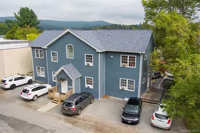 55 Webster Avenue, Liberty, NY 12754 - Photo 1