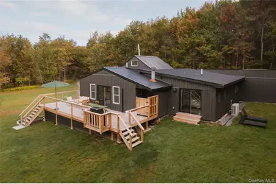 470 White Roe Lake Road, Livingston Manor, NY 12758 - Photo 1