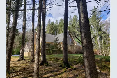 49 Oxford Drive, Bethel, NY 12786 - Photo 1