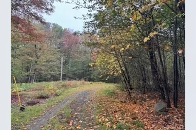 Little Ireland Road, Livingston Manor, NY 12758 - Photo 1