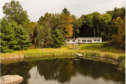 35 Jilroy Lane, Spencertown, NY 12165 - Photo 1