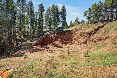 2199 Badger Drive, Larkspur, CO 80118 - Photo 14