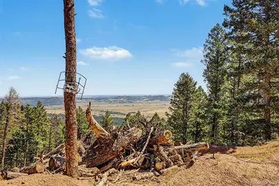 2199 Badger Drive, Larkspur, CO 80118 - Photo 2