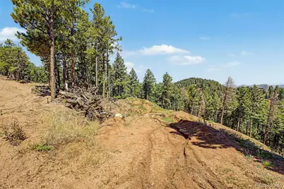 2199 Badger Drive, Larkspur, CO 80118 - Photo 8