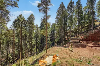2199 Badger Drive, Larkspur, CO 80118 - Photo 22