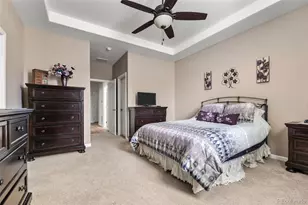 4455 Hydrangea Way, Castle Rock, CO 80109 - Photo 14