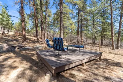 7280 Marshall Road, Larkspur, CO 80118 - Photo 44